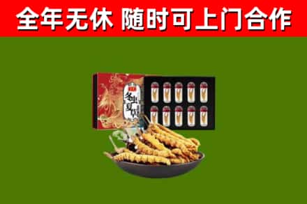 小店区烟酒回收冬虫夏草礼盒.jpg