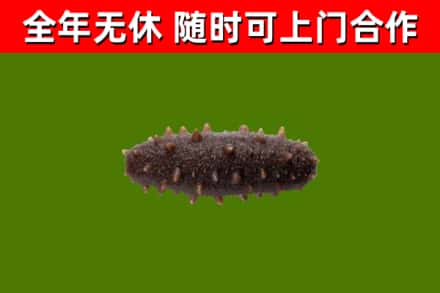 小店区烟酒回收干海参.jpg